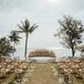 Outdoor Ceremony, Tropical Ocean Views, Gold Details, Altar Platform With Pampas Grass and Petals