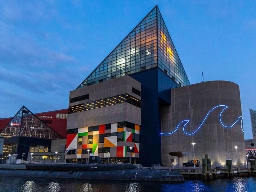 Picture of National Aquarium