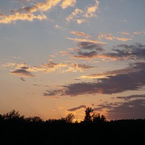 Gallery Photo 27