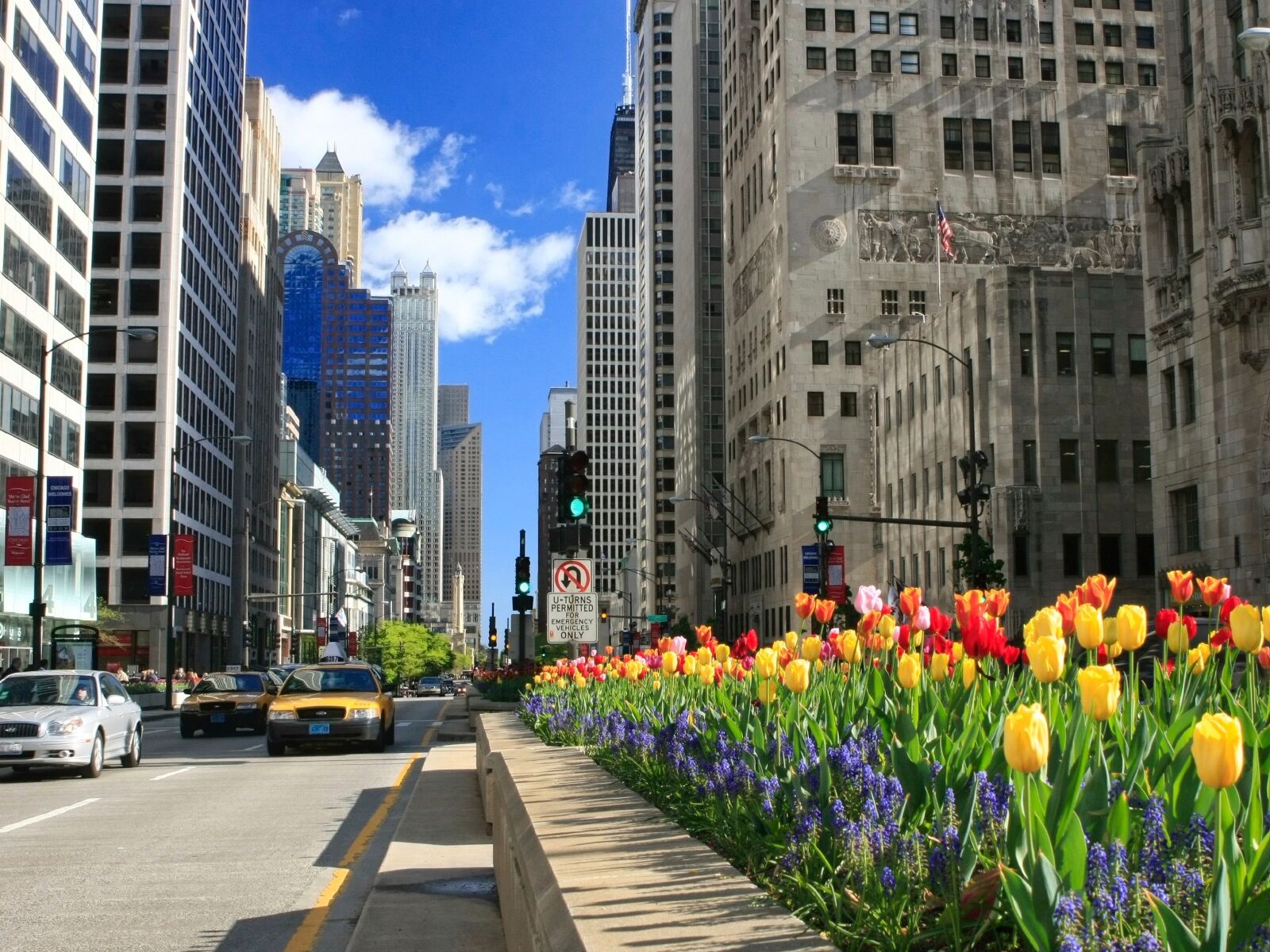 Picture of Magnificent Mile