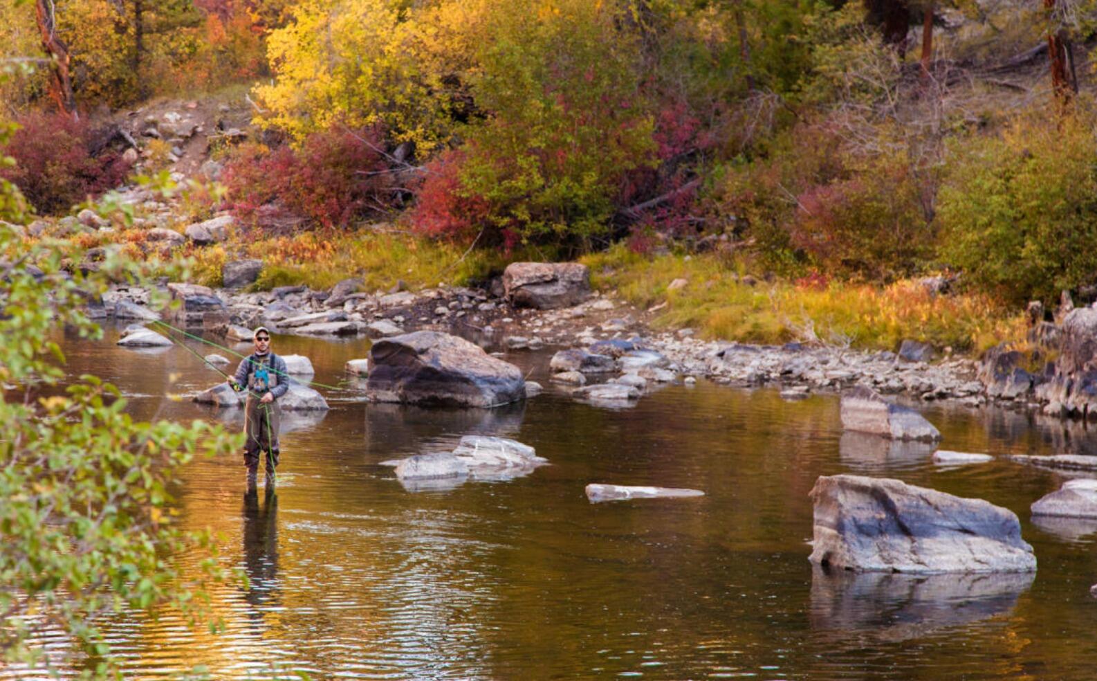 Picture of Fly Fishing
