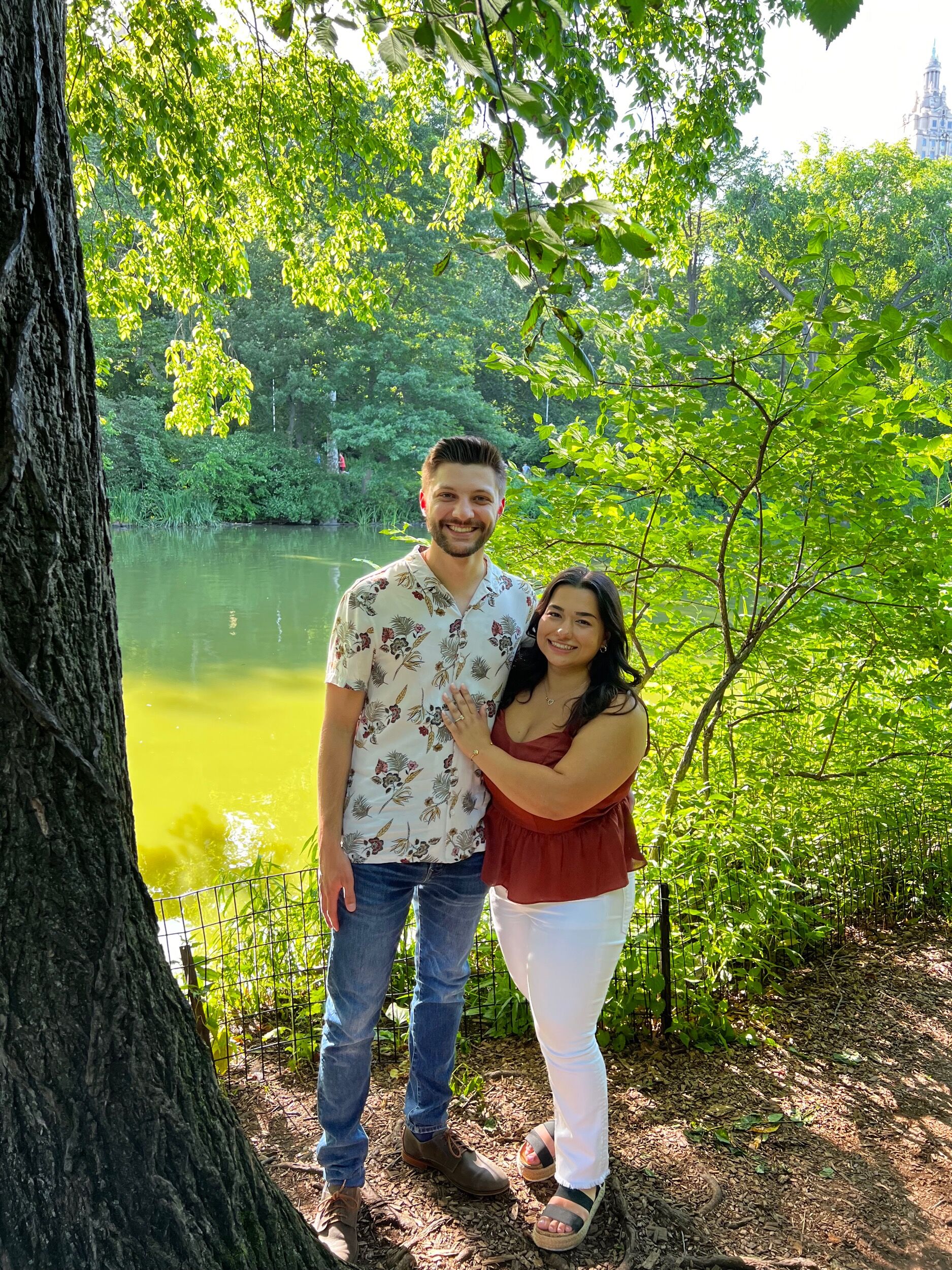 Picture of The Engagement