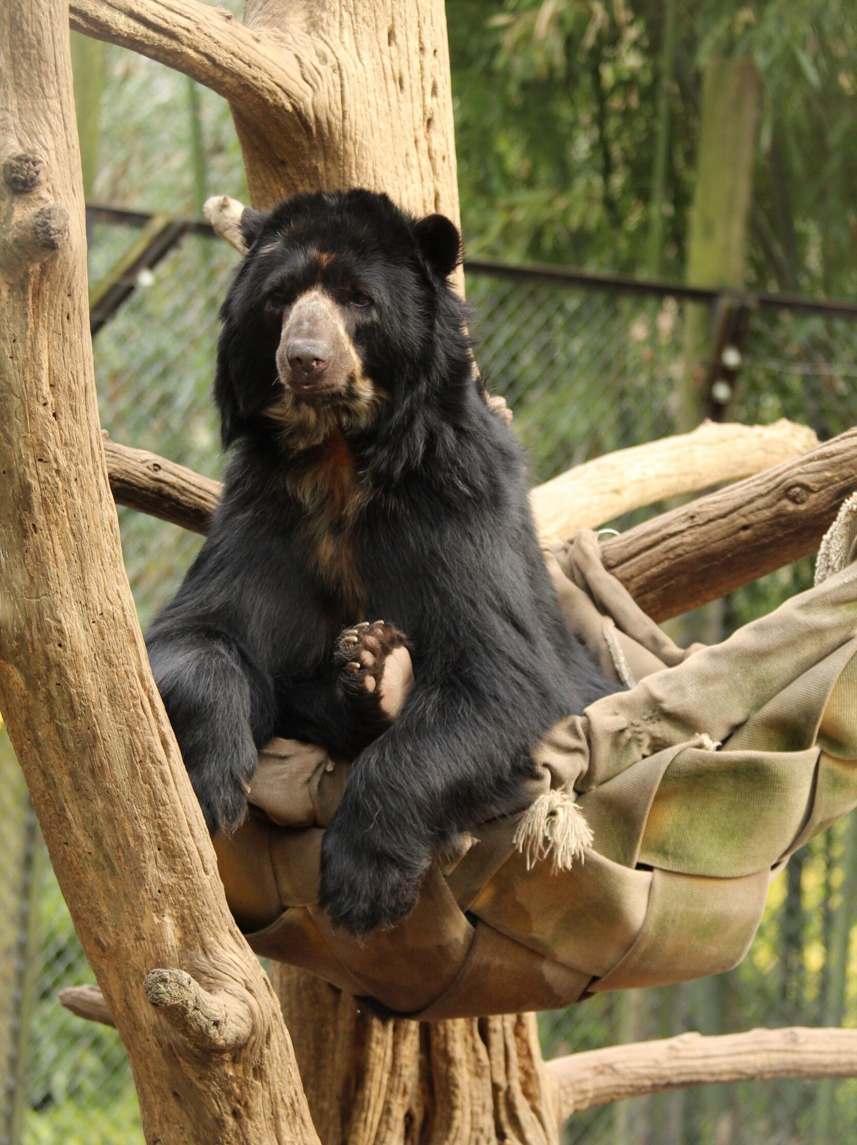 Picture of Salisbury Zoological Park