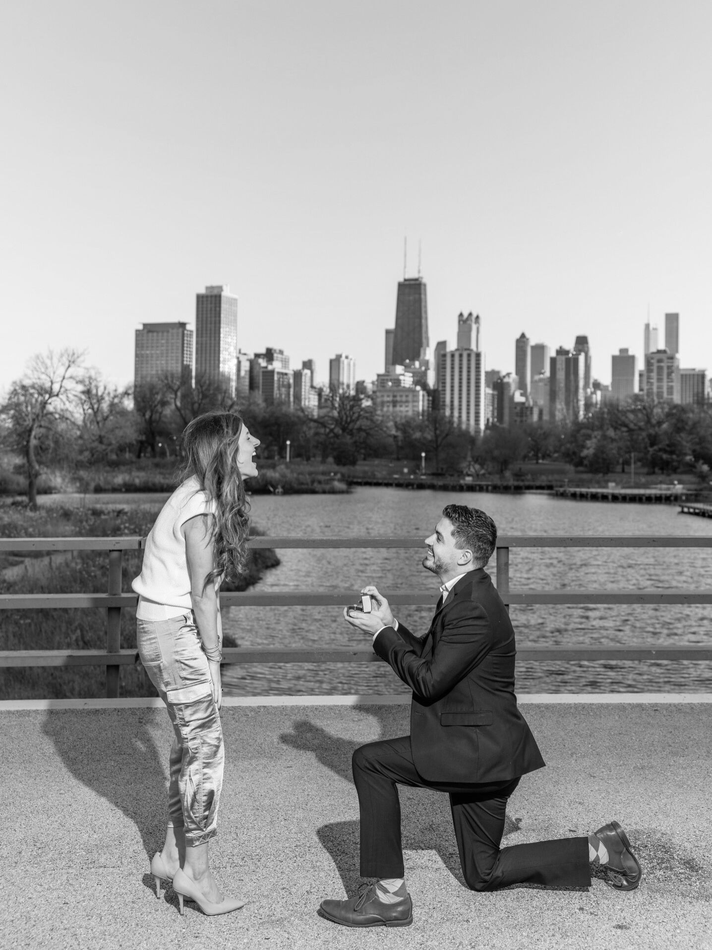 Picture of HOW HE POPPED THE QUESTION…