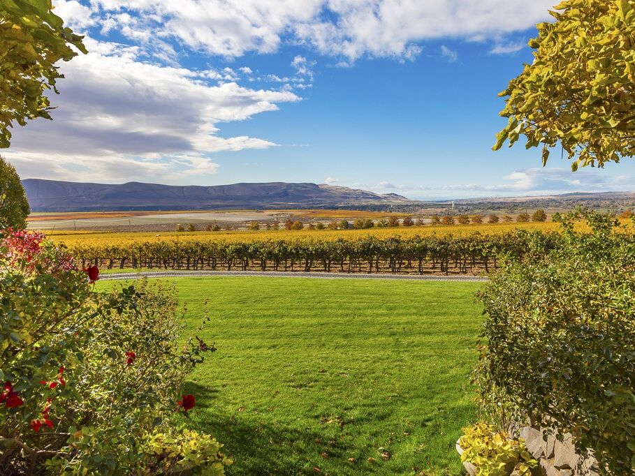 Picture of Woodinville Wine Country