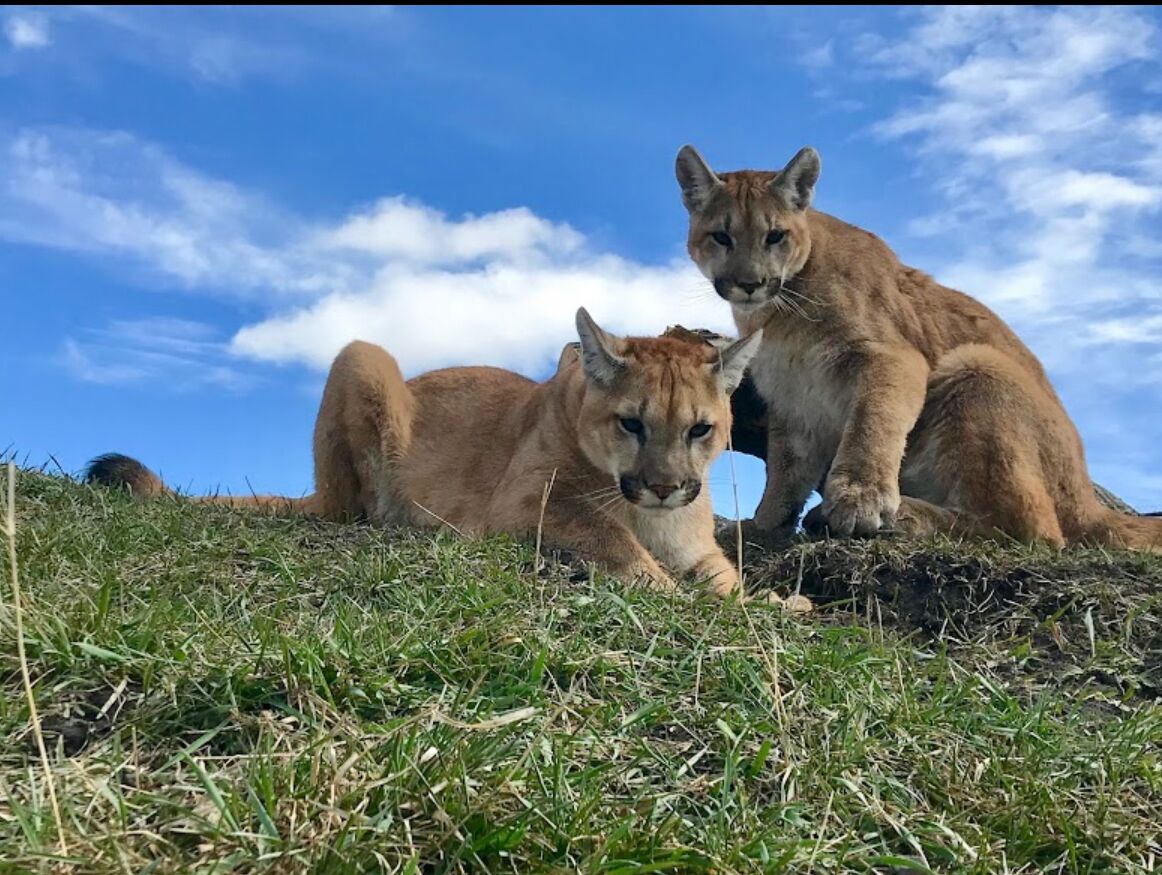 Picture of Discovery Wildlife Park & Campground