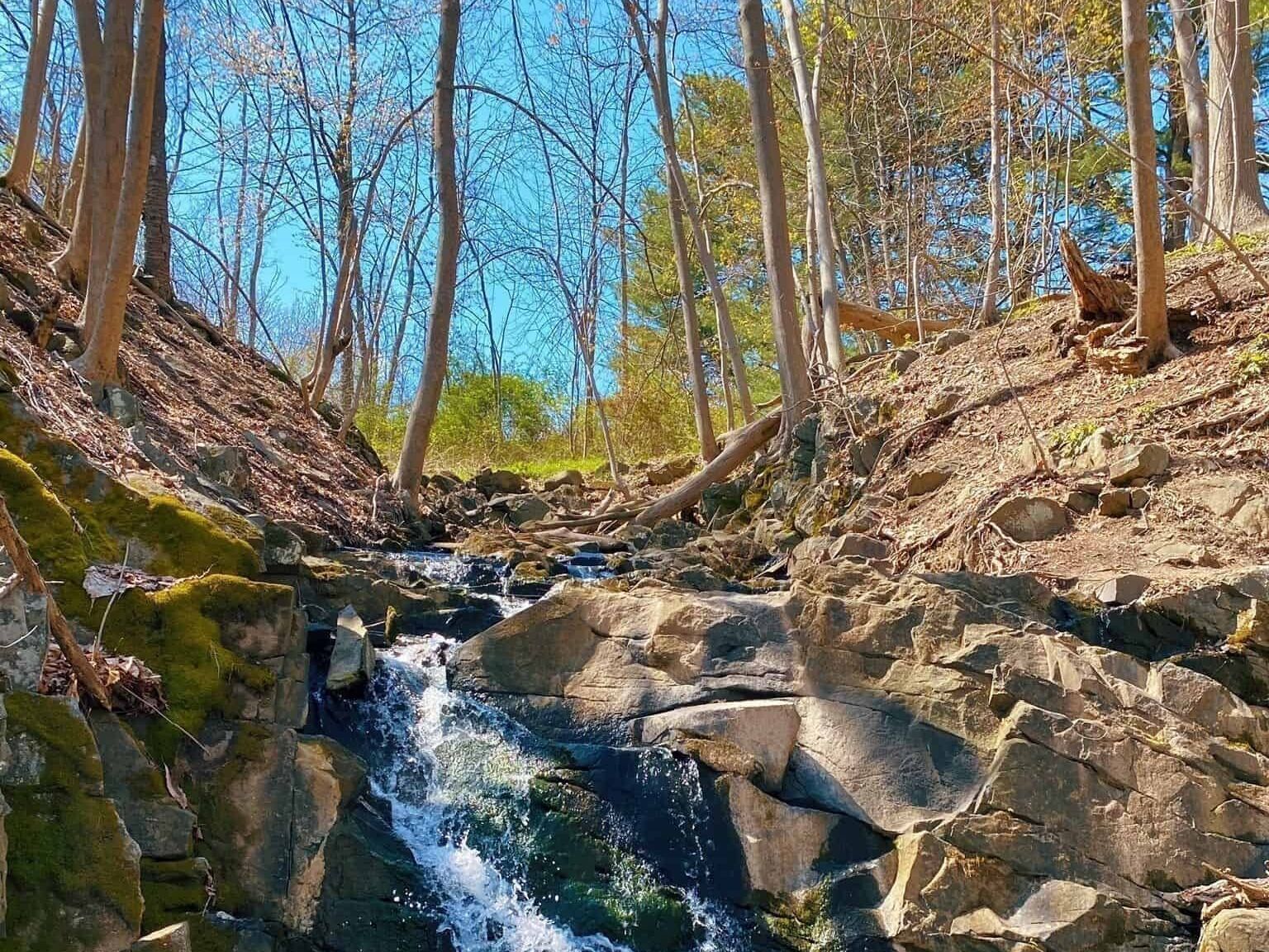 Picture of Scenic Views @ Falling Waters Preserve