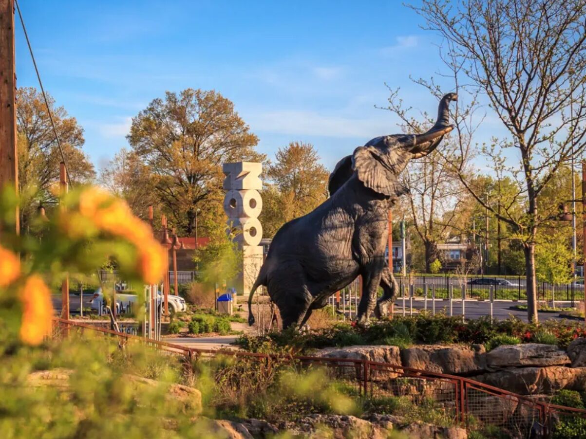 Picture of Saint Louis Zoo