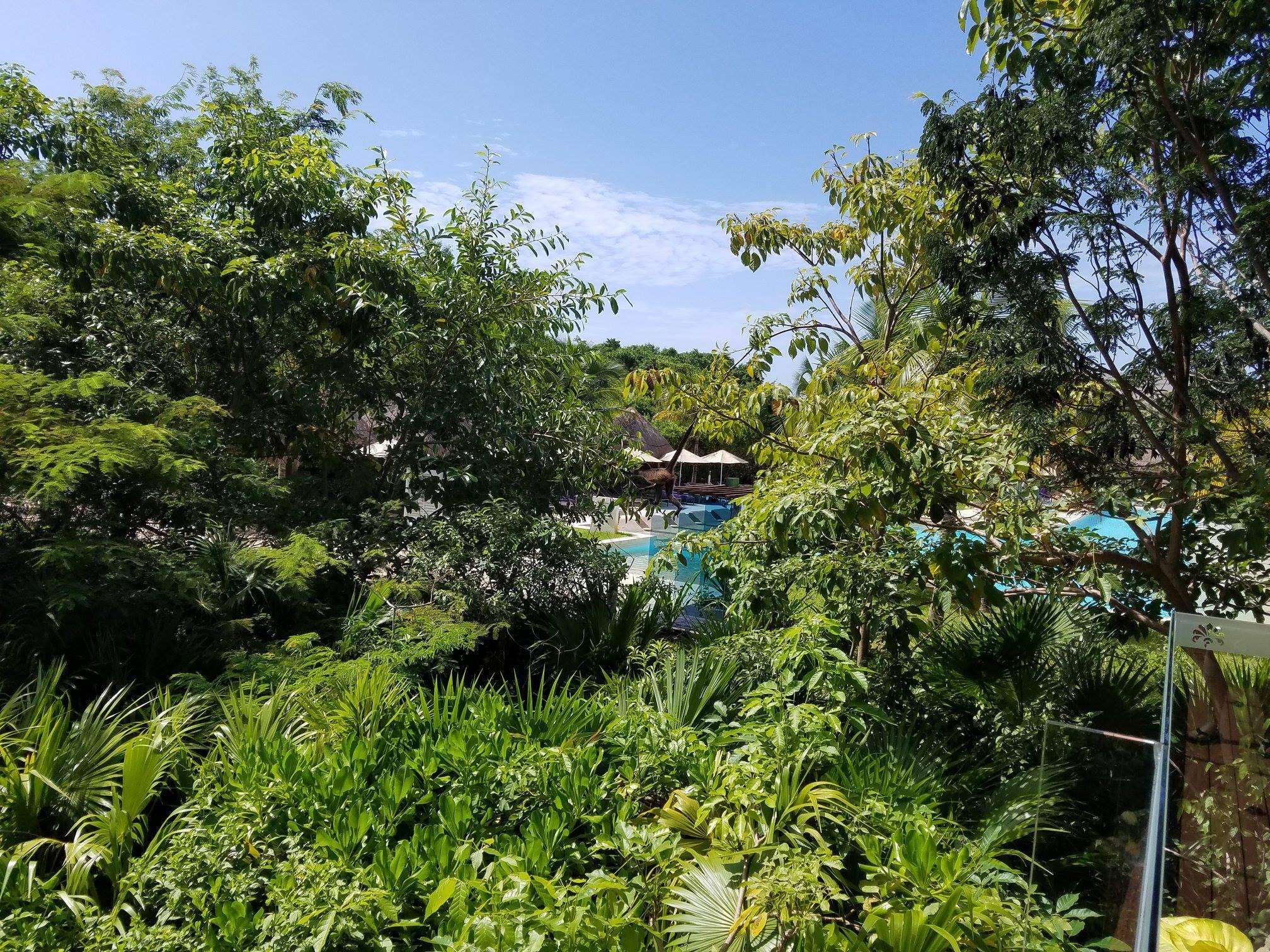 Album Photo 49