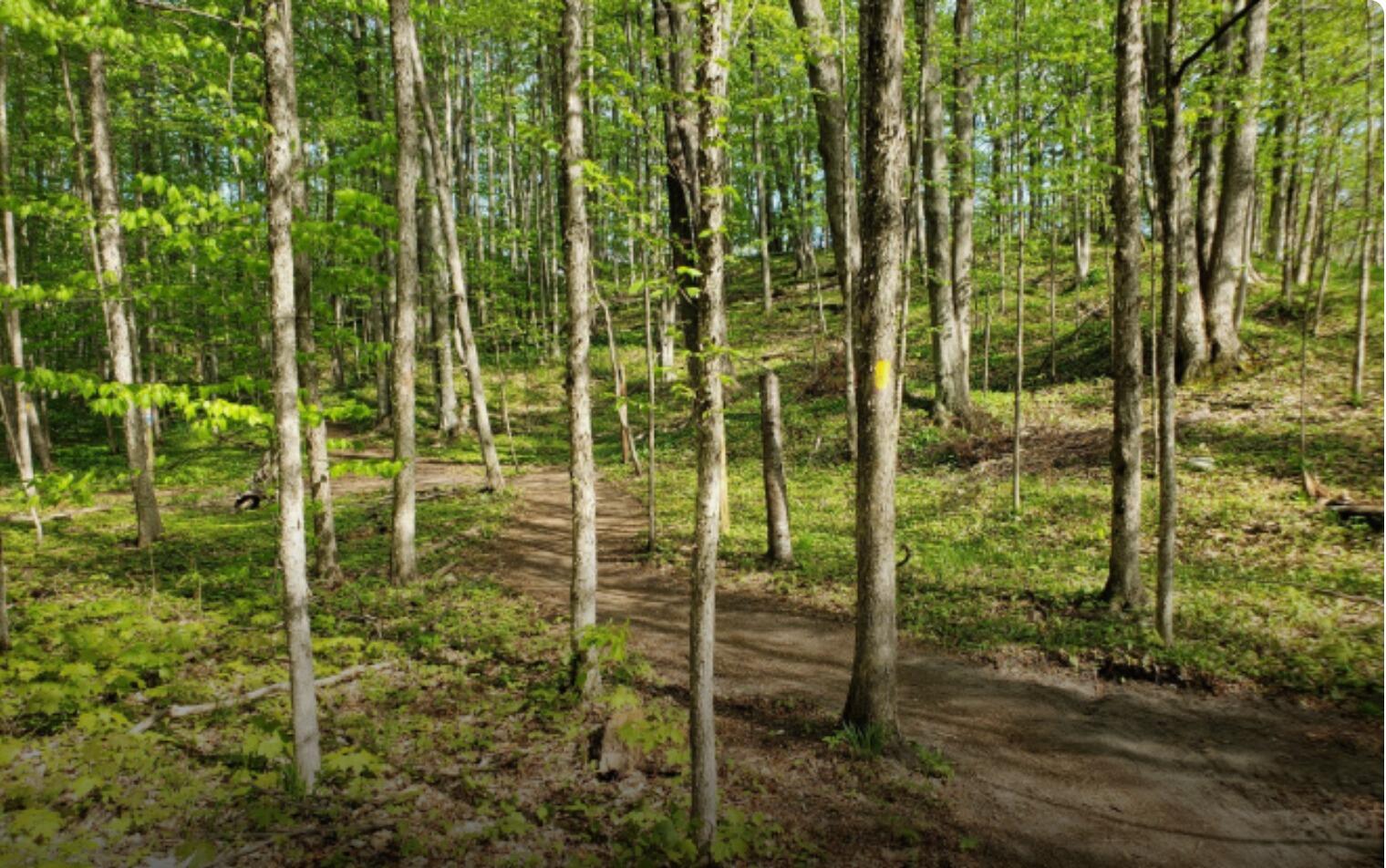 Picture of Glacial Hills Pathway and Natural Area Trailhead