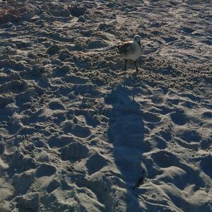 Gallery Photo 21