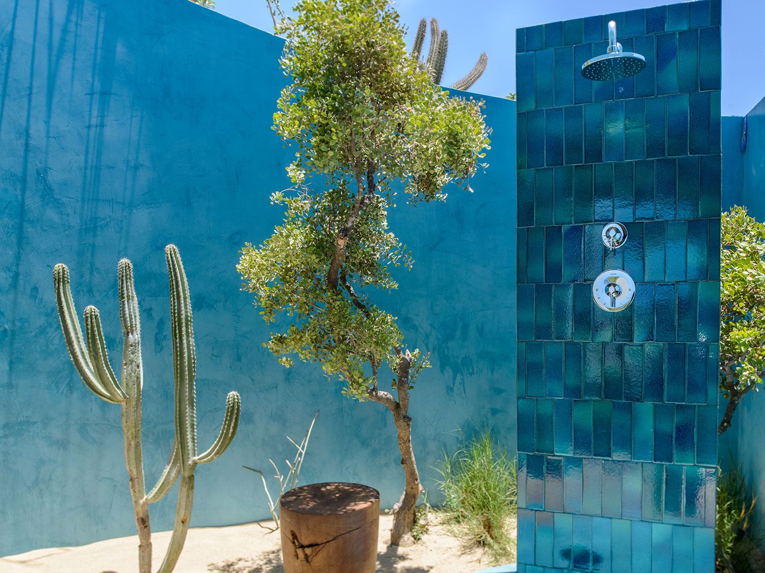 gorgeous outdoor shower surrounded by cacti and trees in the desert ocean town of todos santos