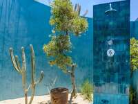 gorgeous outdoor shower surrounded by cacti and trees in the desert ocean town of todos santos