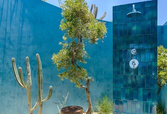 gorgeous outdoor shower surrounded by cacti and trees in the desert ocean town of todos santos