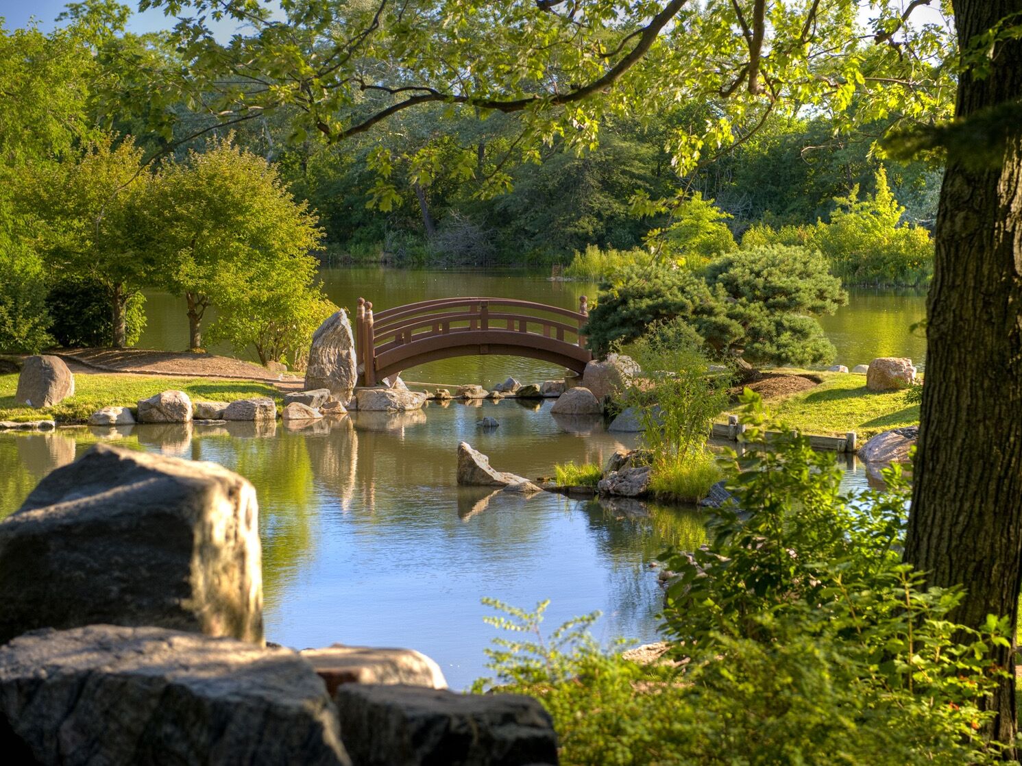 Picture of Japanese Garden