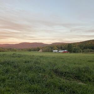 Gallery Photo 22