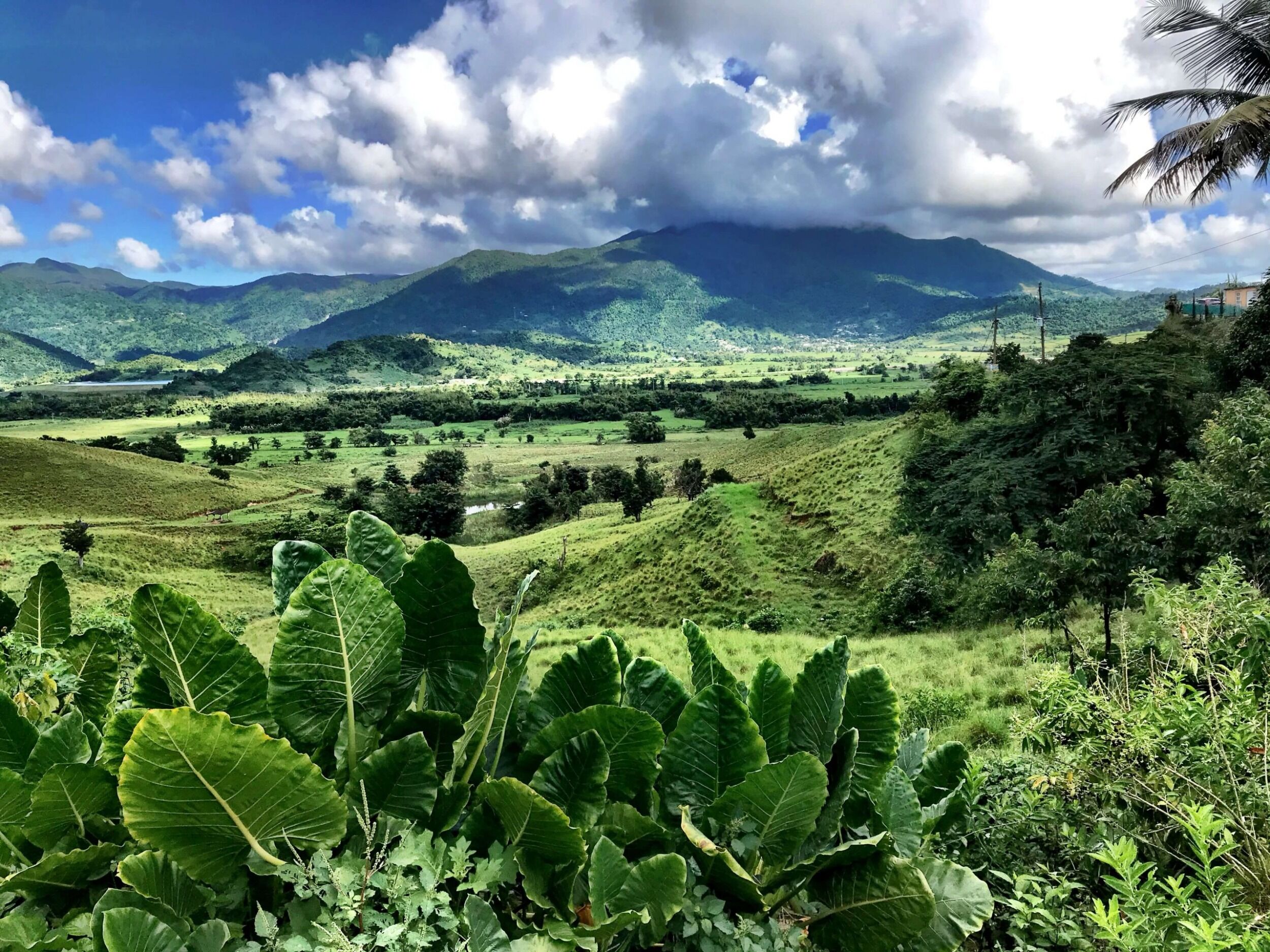 Picture of El Yunque National Forest