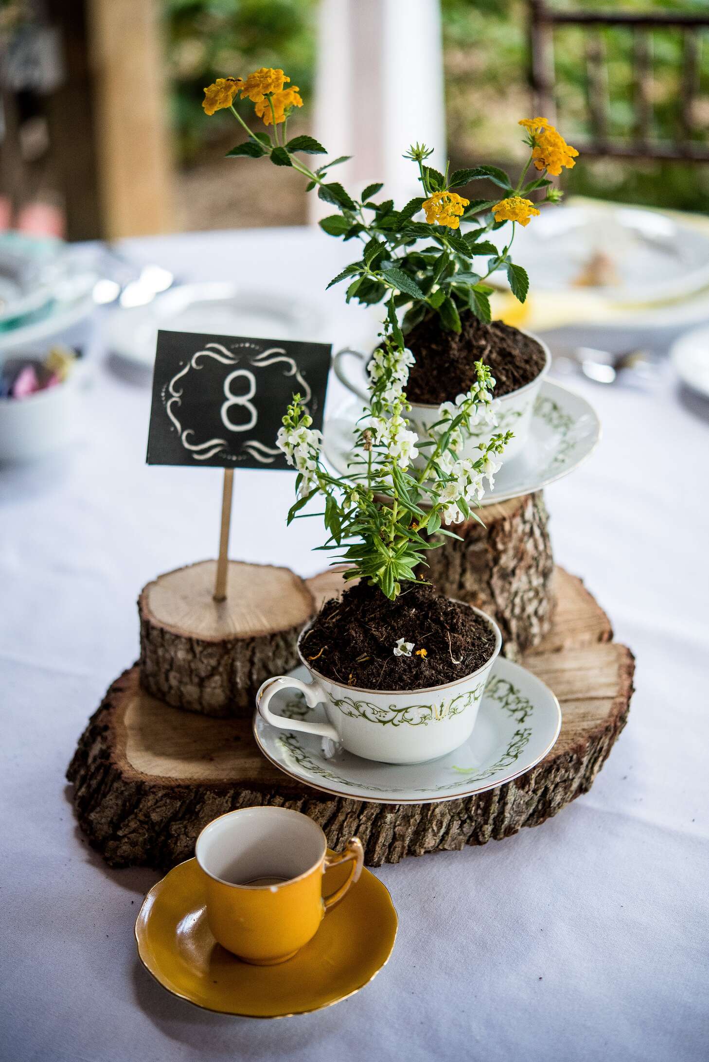 Rustic Wood and Teacup Centerpiece