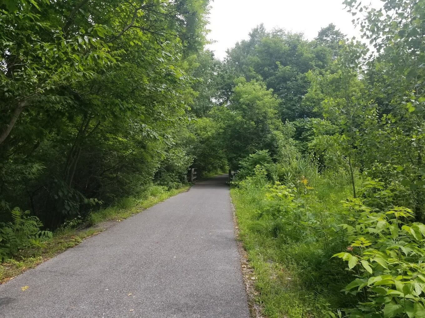Picture of Black River Trail