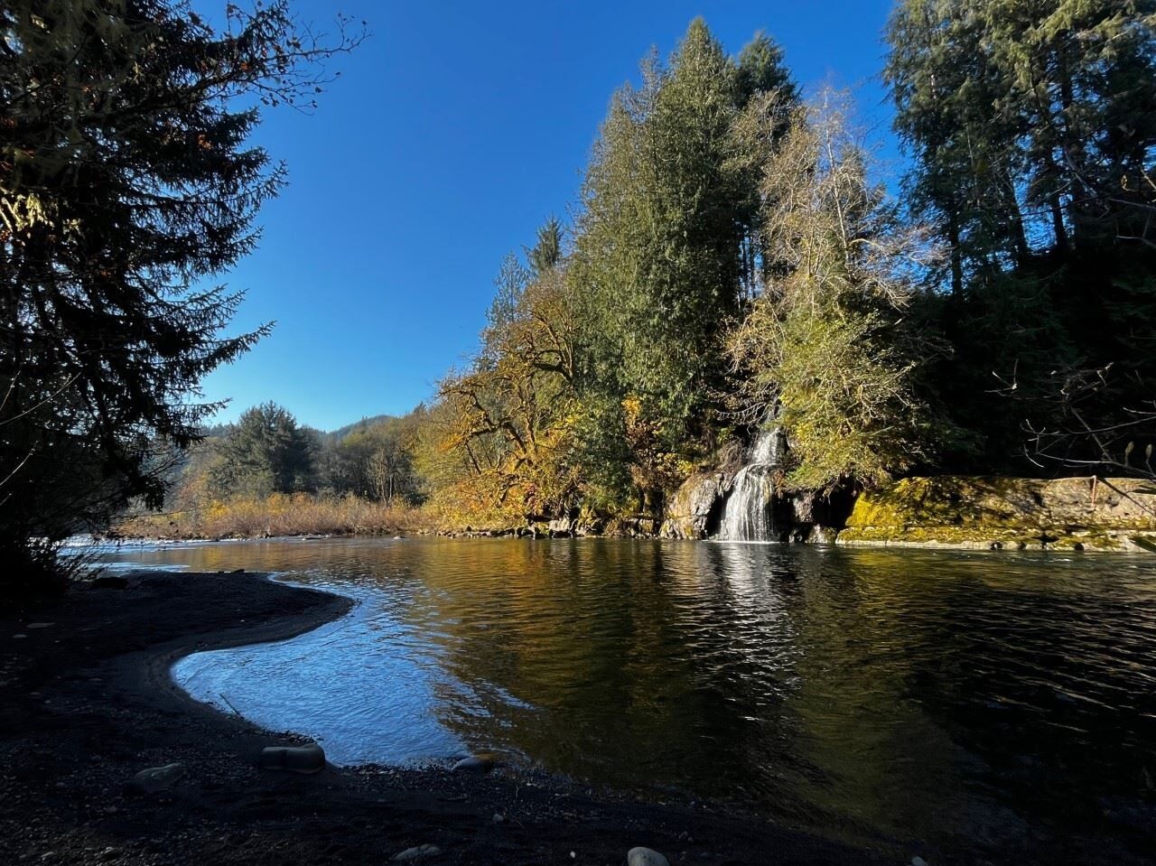 Picture of Moonshine Park