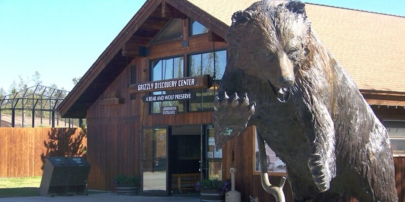 Picture of Grizzly And Wolf Discovery Center
