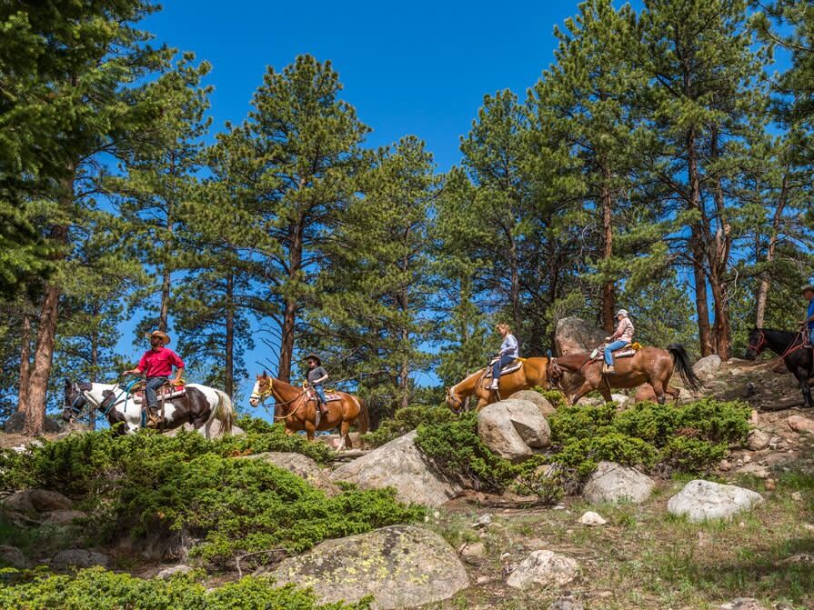 Picture of National Park Gateway Stables