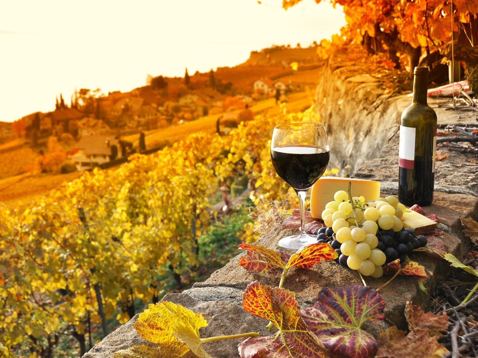Picture of Chianti Wine Tours