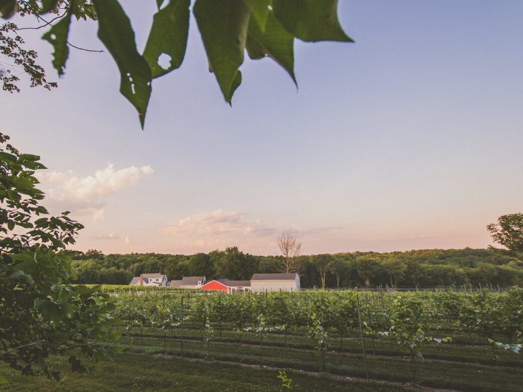 Picture of Taylor Brooke Winery