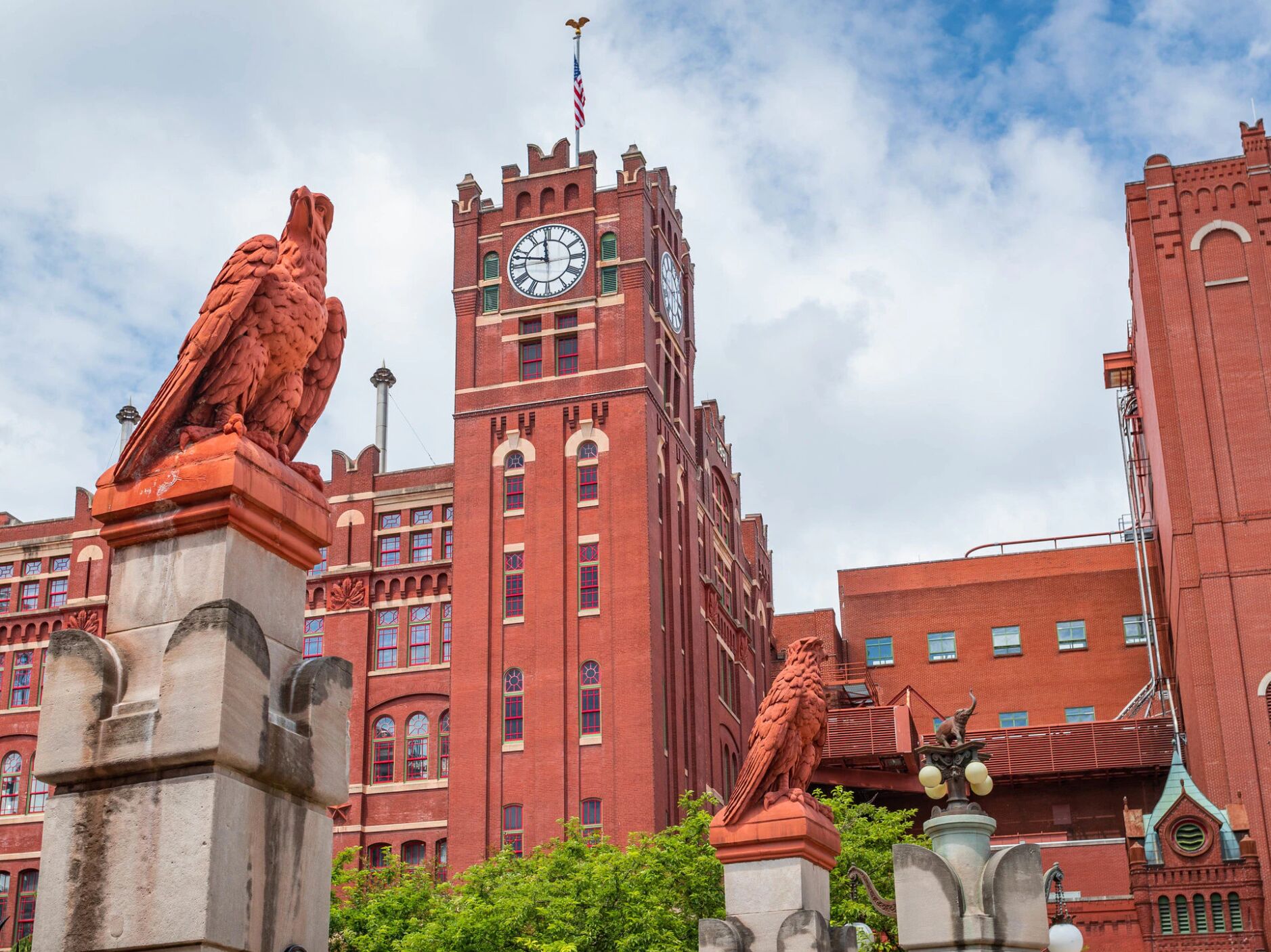 Picture of Budweiser Brewery Experience