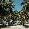 An Intimate Beach Microwedding in Palomino, Colombia, Officiated by the Wedding Guests