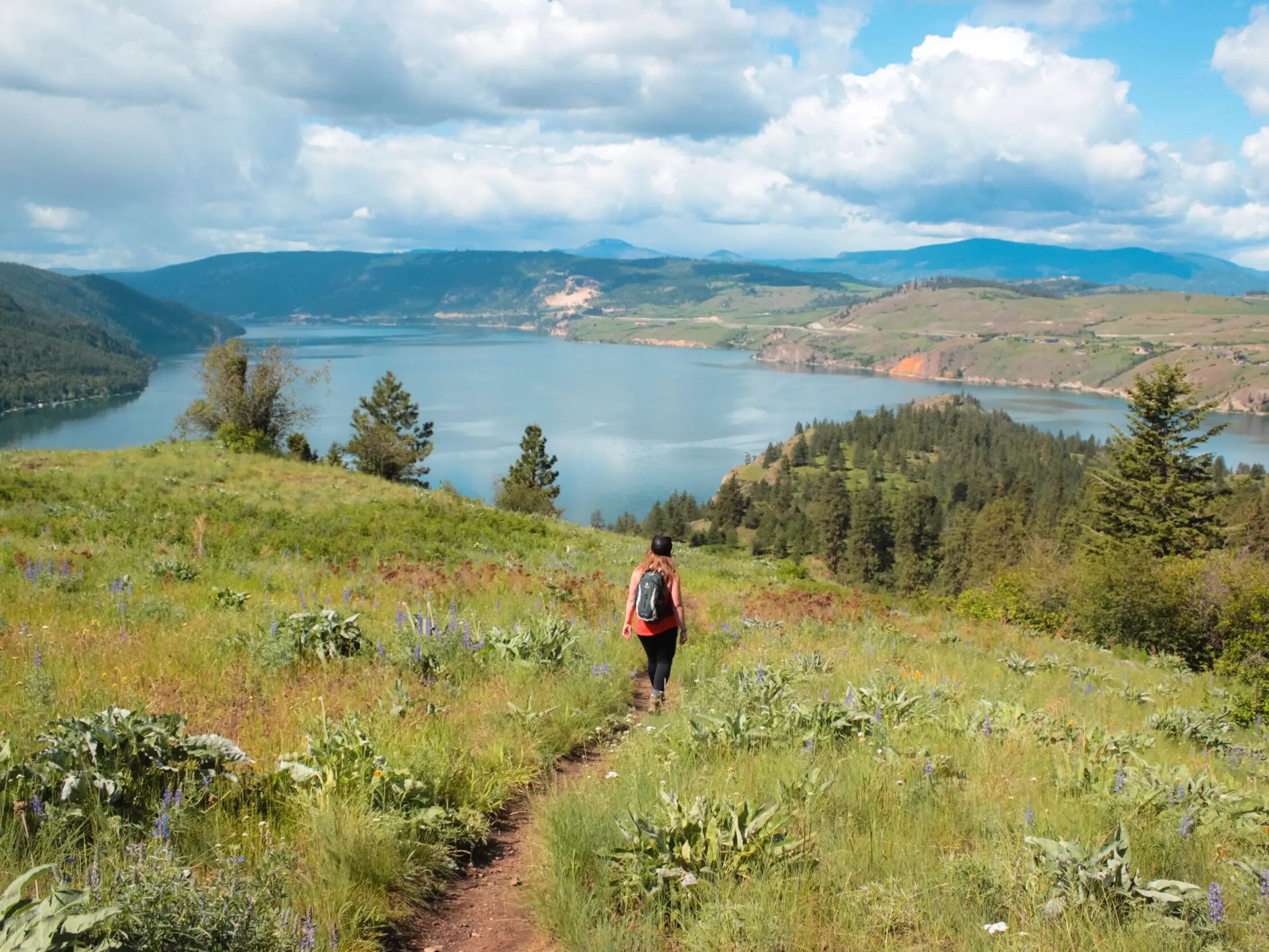 Picture of Kalamalka Lake Provincial Park