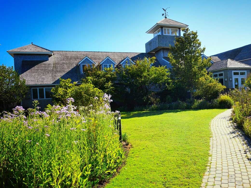 Picture of The Wetlands Institute
