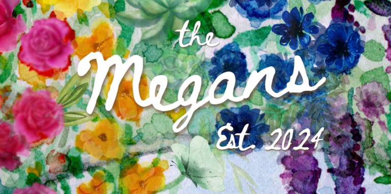 Megan & Megan Home Page Banner