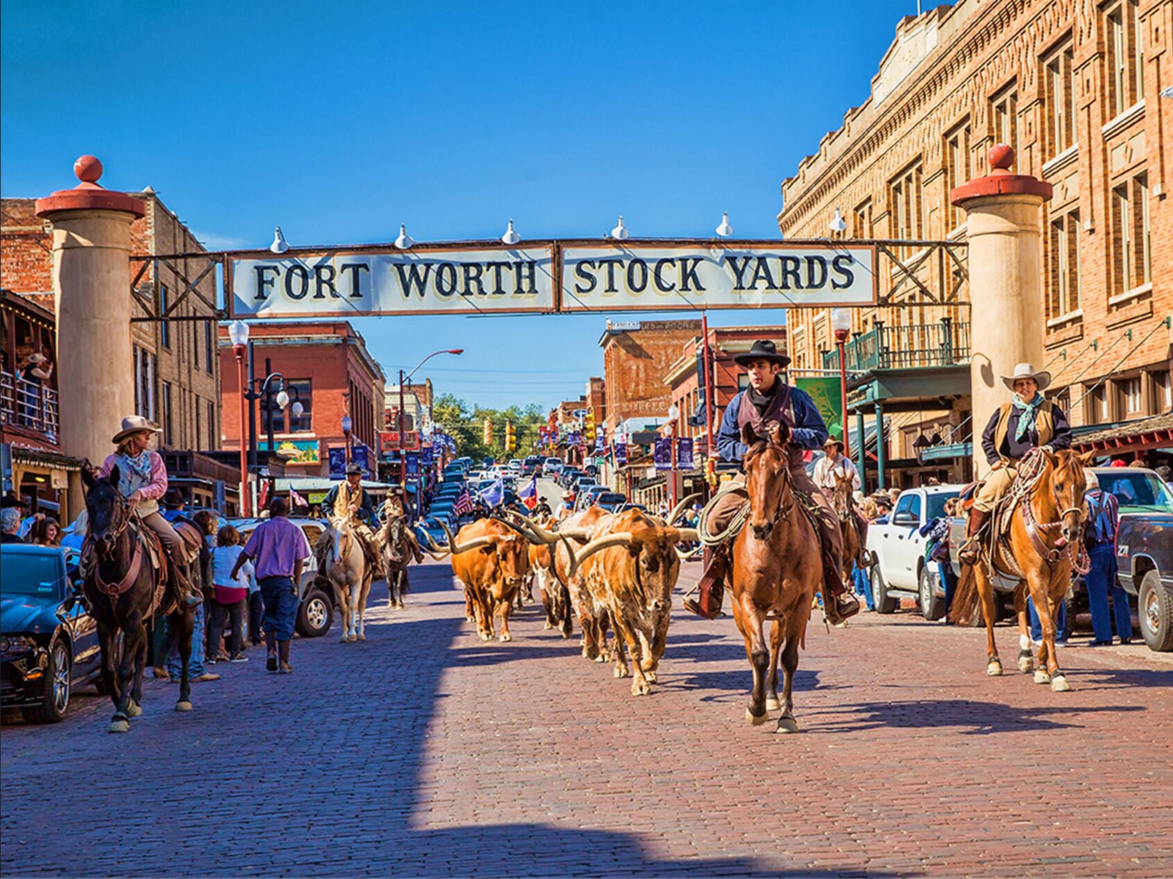 Picture of Fort Worth Herd