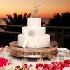 An Intimate Beach Wedding in Sarasota, FL