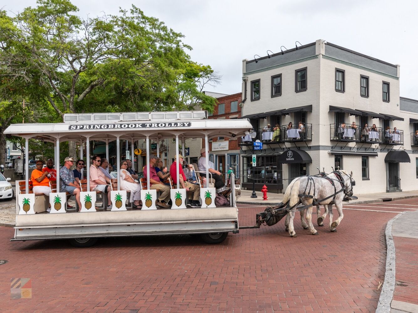 Picture of Horsedrawn Carriage & Trolley Service