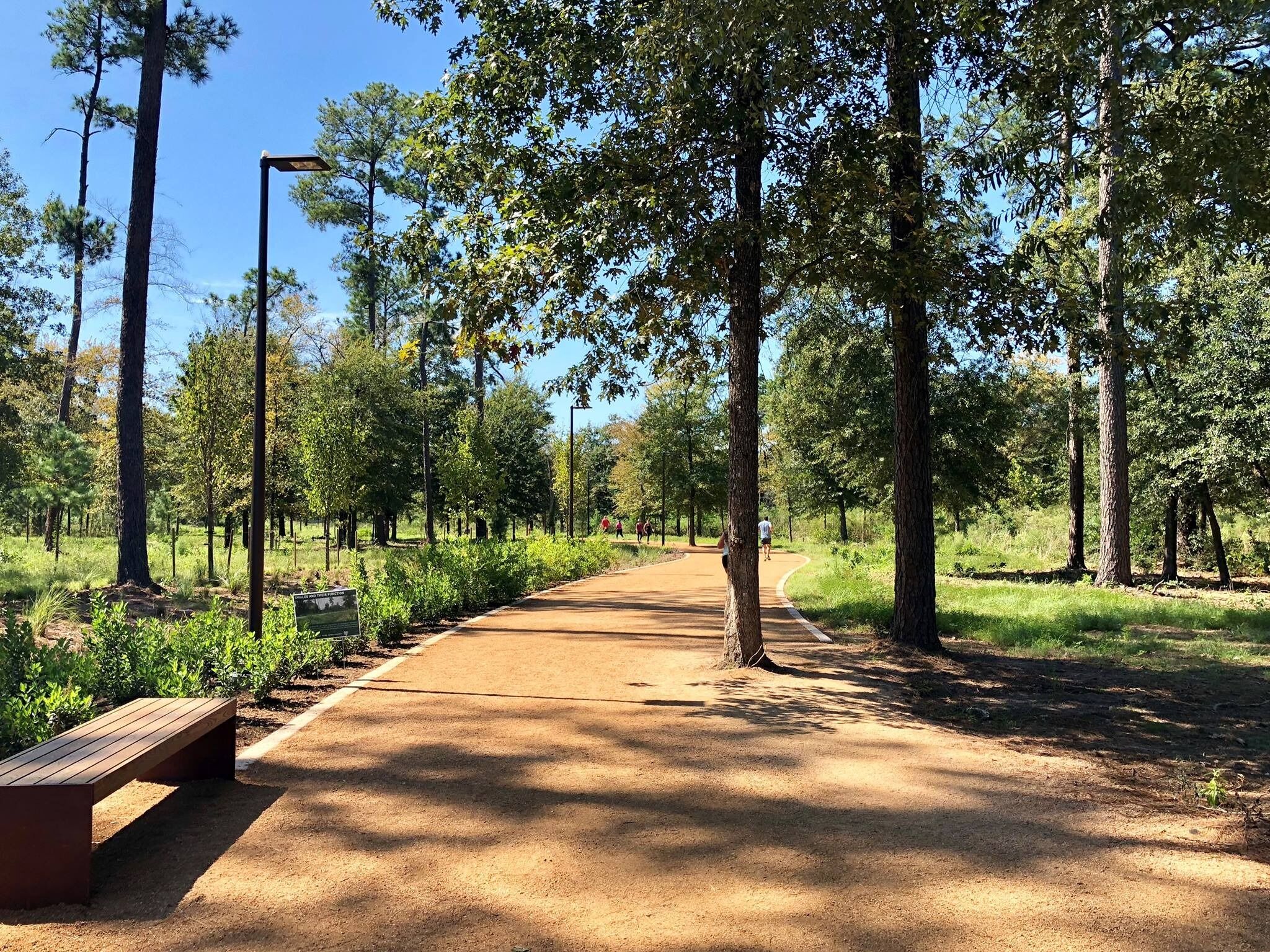 Picture of Memorial Park