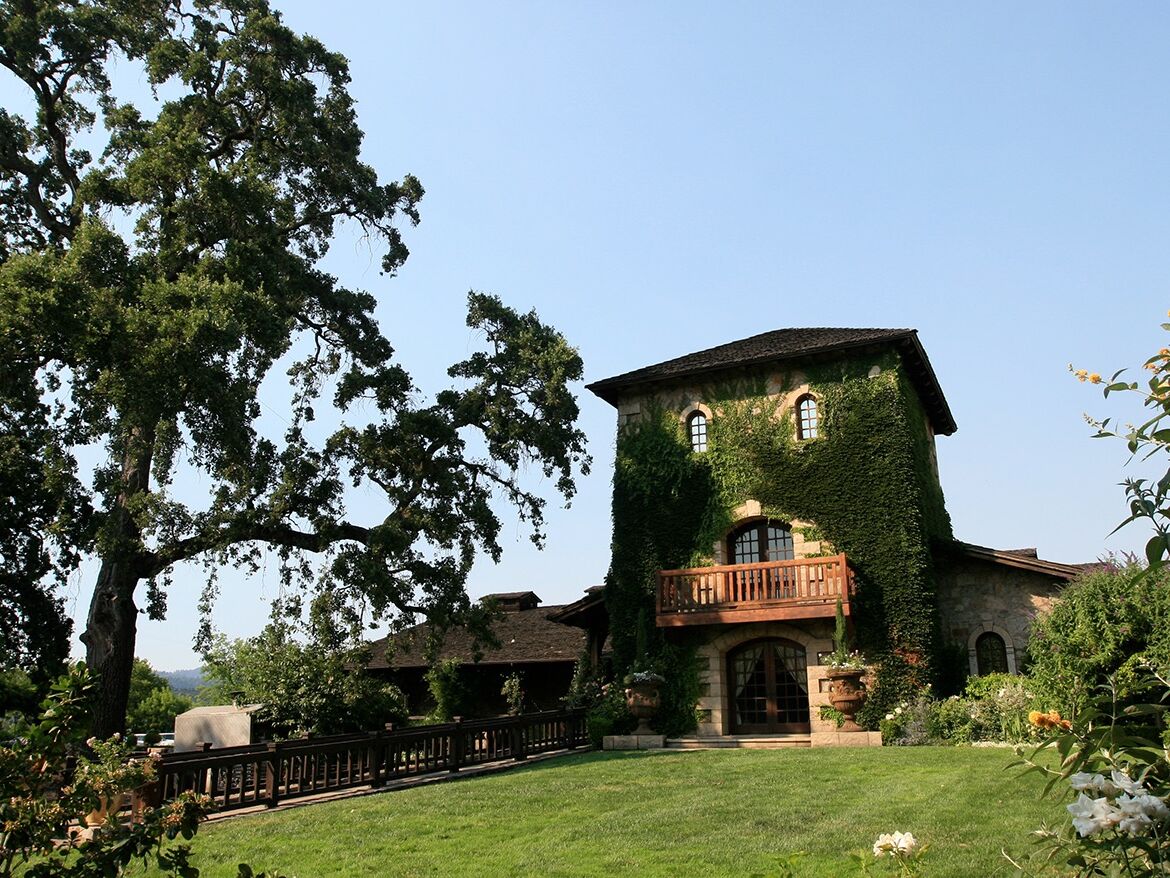 Picture of Wine Tasting In Napa