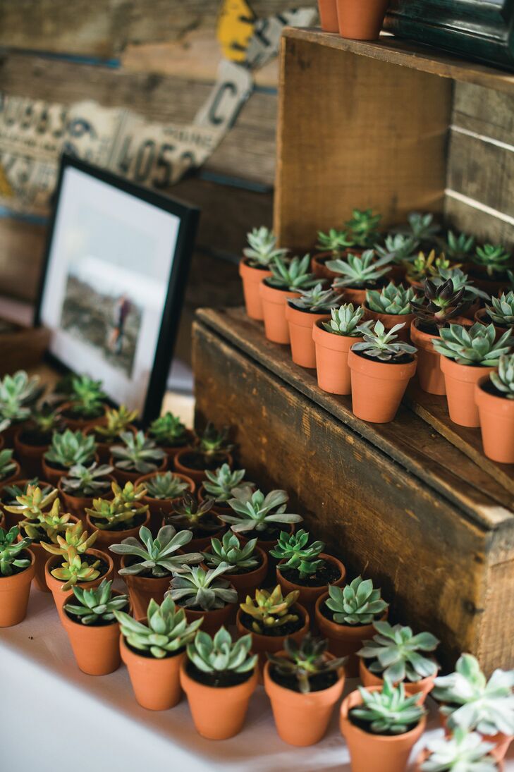 For their favors, Lauren and David looked to their venue and theme for inspiration. “I love succulents and plants,” says Lauren, “and since our wedding had a very natural, organic feel, I thought succulents would make a great favor.” The pint-sized potted plants were displayed alongside vintage crates, moss and stones during the reception, adding to the decor’s earthy vibe.