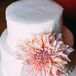 Molly and Ryan opted for a simple white wedding cake that was flavored with raspberry filling and cream cheese frosting. They also had rice krispies and raspberry chocolate truffles for dessert.
