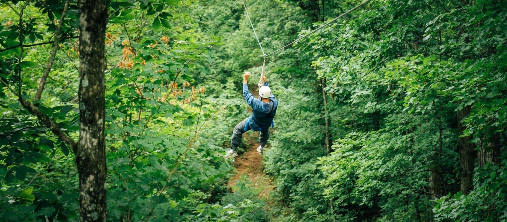 Picture of Ziplines