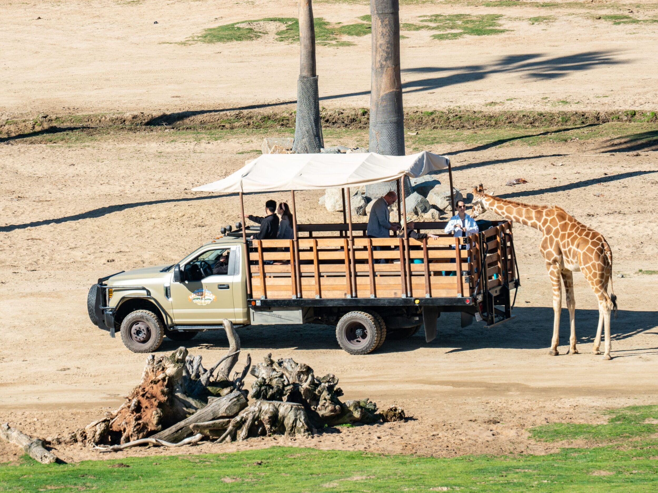 Picture of San Diego Zoo Safari Park