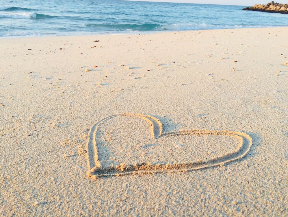 Picture of Wollaston Beach