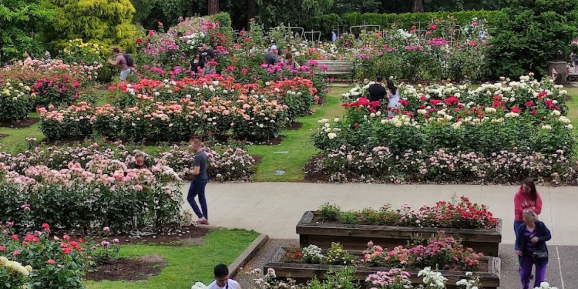 Picture of Washington Park