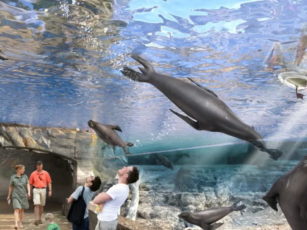 Picture of Houston Zoo