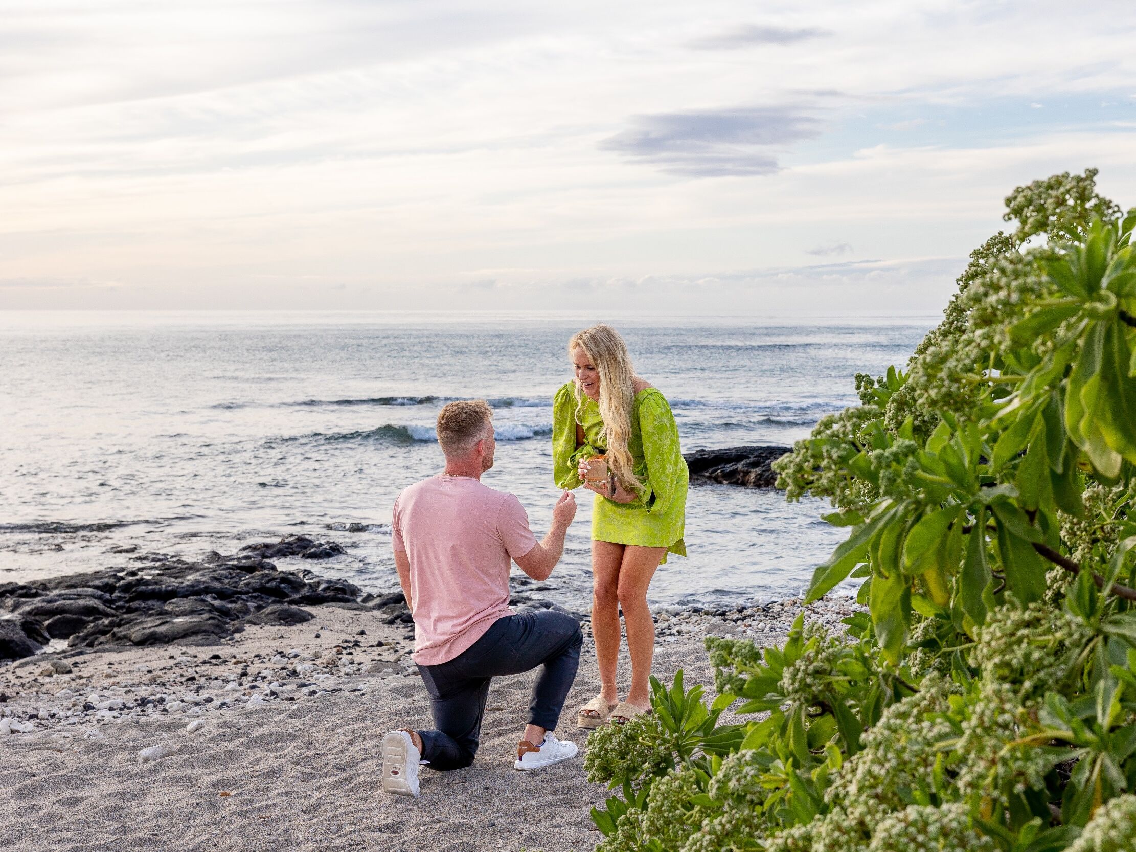 Picture of The Proposal 