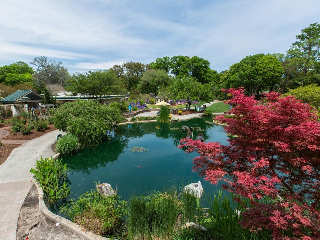 Picture of New Hanover County Arboretum | N.C. Cooperative Extension