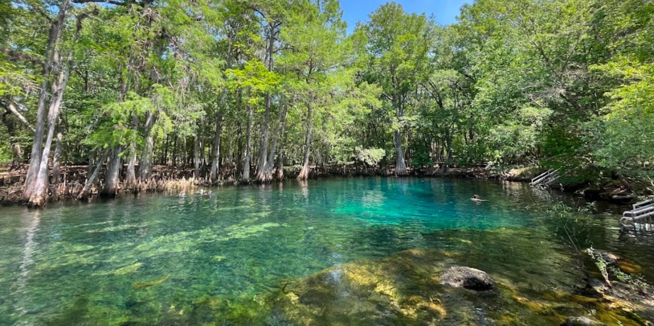 Picture of Manatee Springs State Park