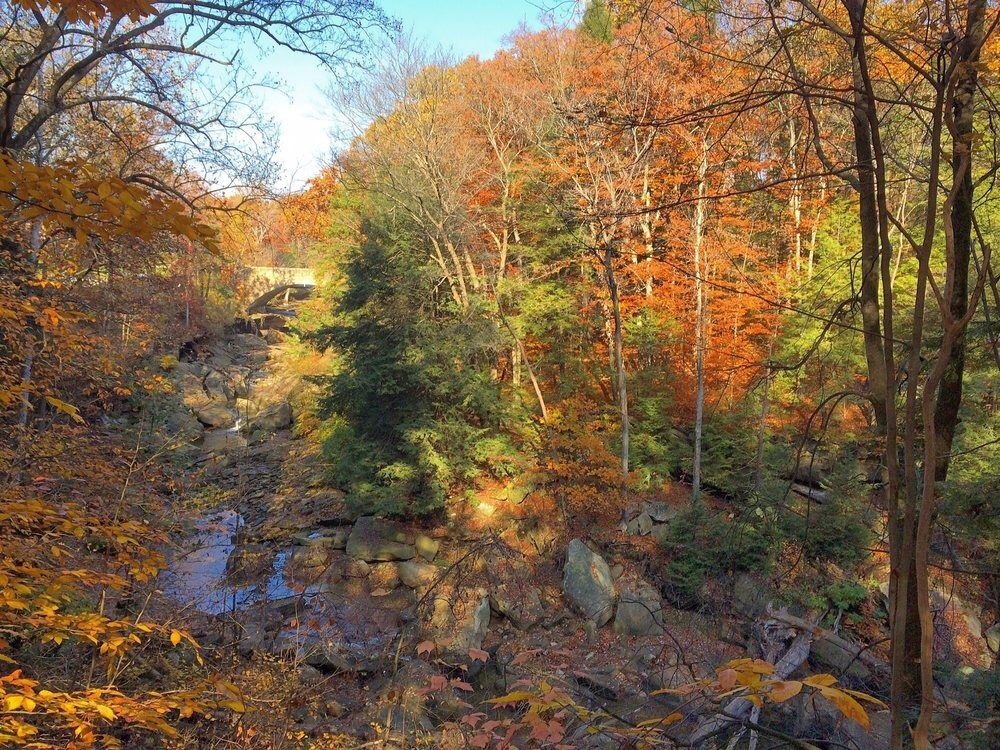 Picture of Brecksville Reservation