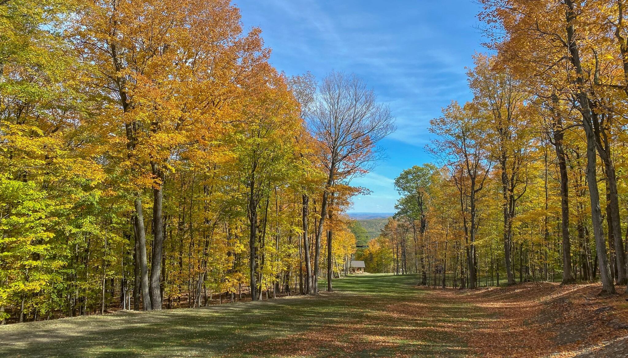 Picture of Bristol Mountain Ski Resort - Fall Sky Ride
